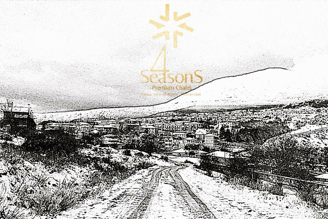 4 Seasons Premium Chalet Agios Athanasios  Luaran gambar